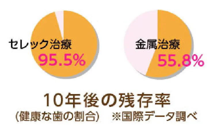 健康な歯の割合の10年後の残存率（国際データ調べ） セレック治療95.5% 金属治療55.8%